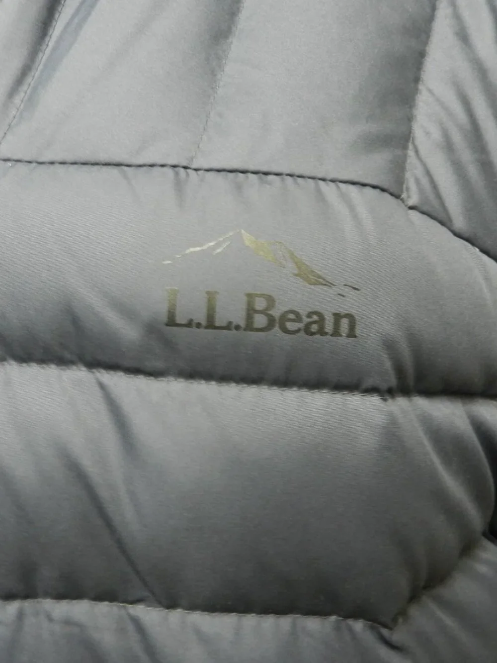 L.L. Bean excellent size
